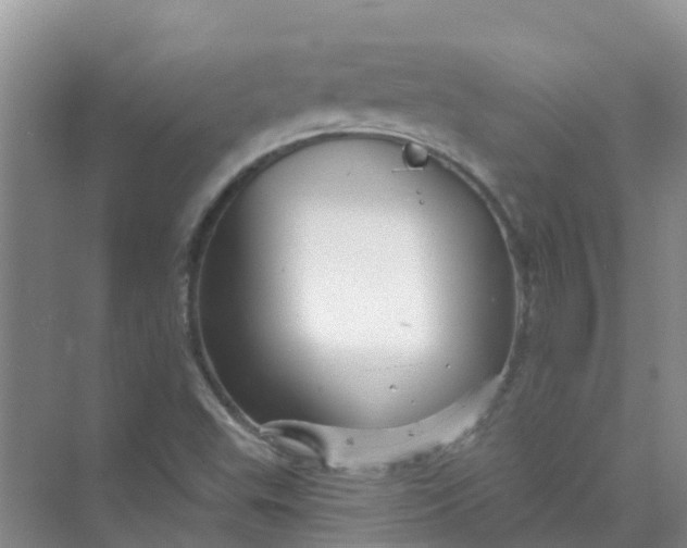 X0000073851503200608311947