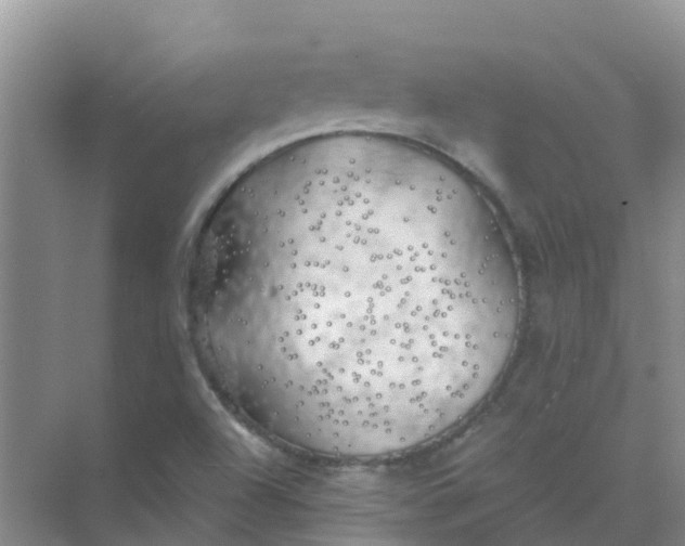 X0000073851504200608311947