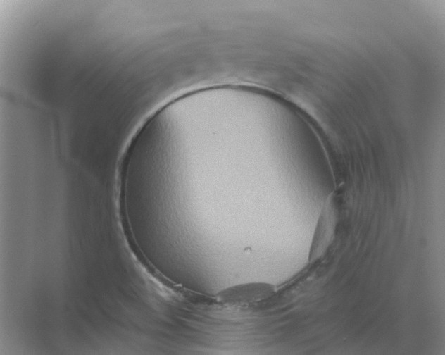 X0000073851508200608311947