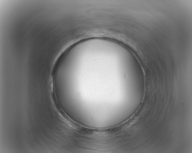 X0000073851509200608311947