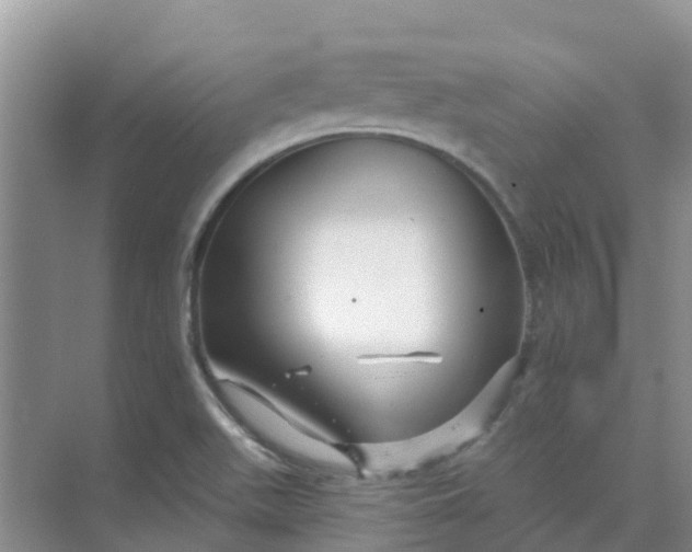 X0000073851511200608311947