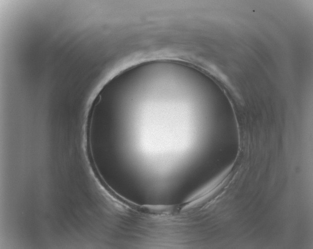 X0000073851512200608311947