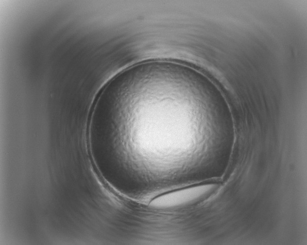 X0000073851513200608311947