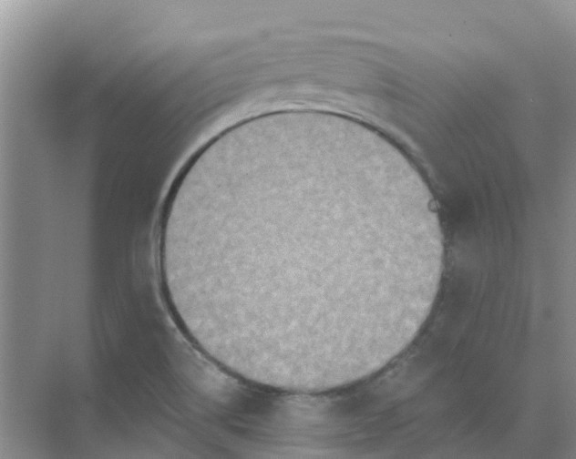 X0000073851514200608311947