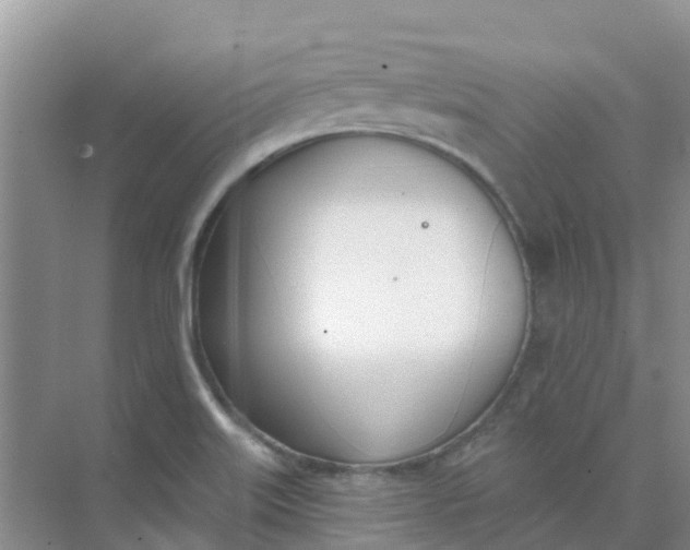 X0000073851515200608311947