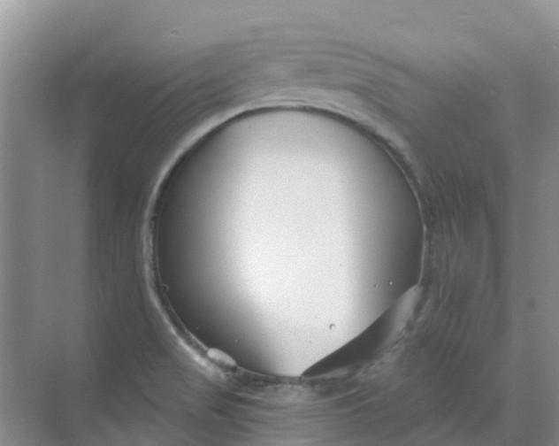 X0000073851517200608311947