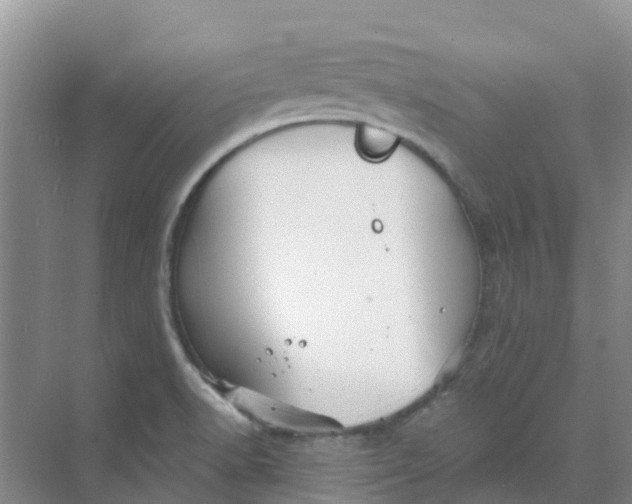 X0000073851518200608311947