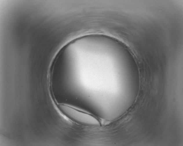 X0000073851519200608311947