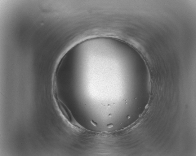 X0000073851520200608311947