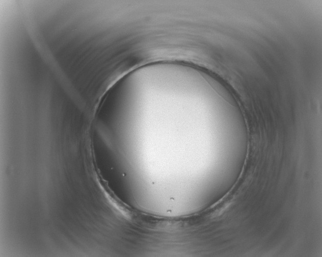 X0000073851521200608311947