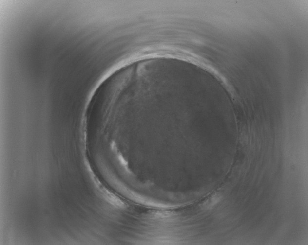 X0000073851522200608311947