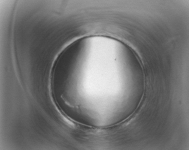 X0000073851525200608311947