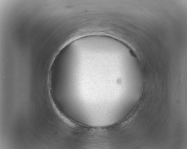 X0000073851526200608311947