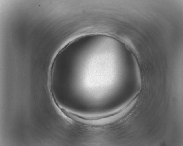 X0000073851528200608311947