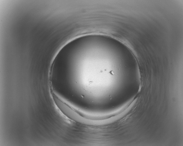 X0000073851532200608311947