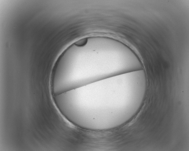 X0000073851533200608311947