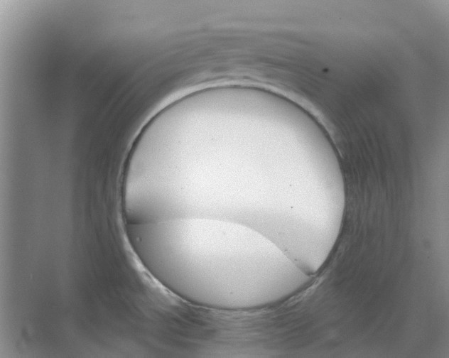 X0000073851534200608311947