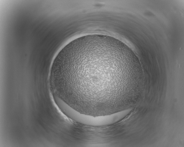 X0000073851536200608311947