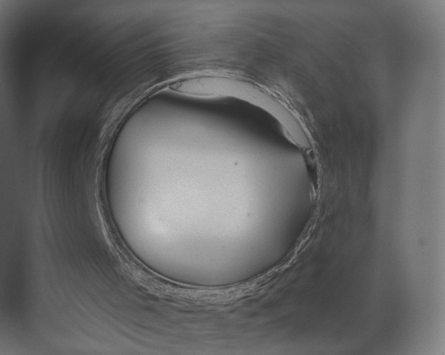 X0000073850001200609071619