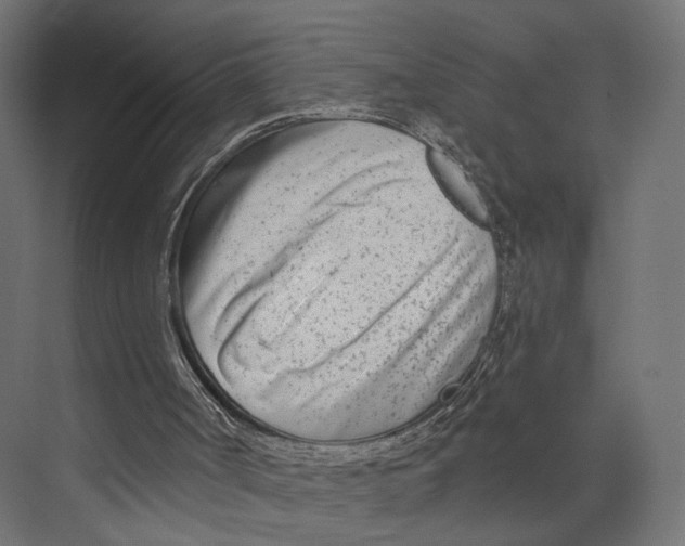 X0000073850002200609071619