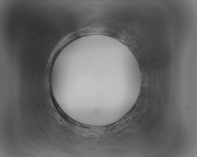 X0000073850004200609071619