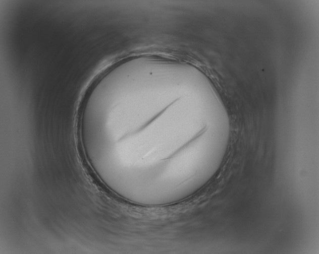 X0000073850006200609071619