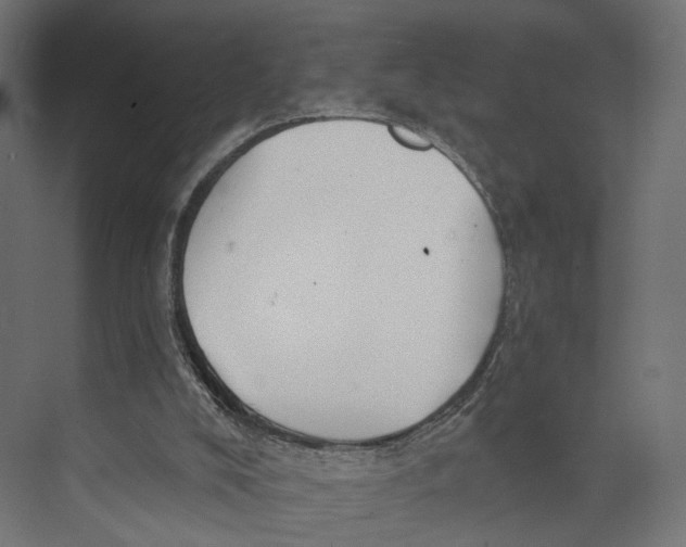 X0000073850008200609071619