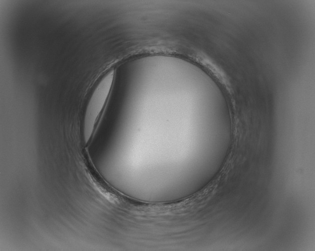 X0000073850009200609071619