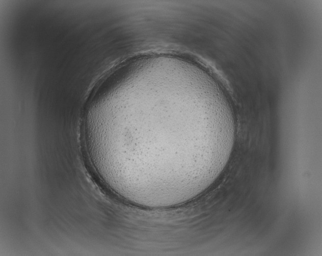 X0000073850010200609071619