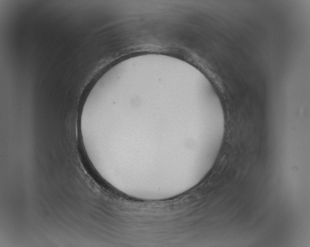 X0000073850011200609071619