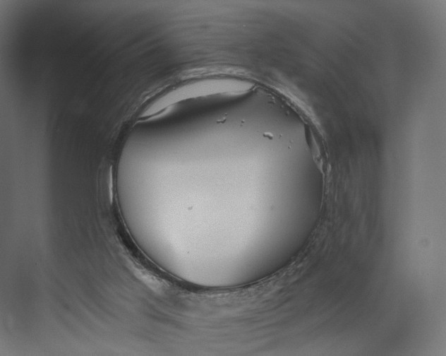 X0000073850013200609071619