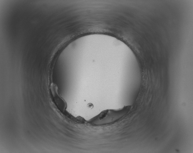 X0000073850015200609071619