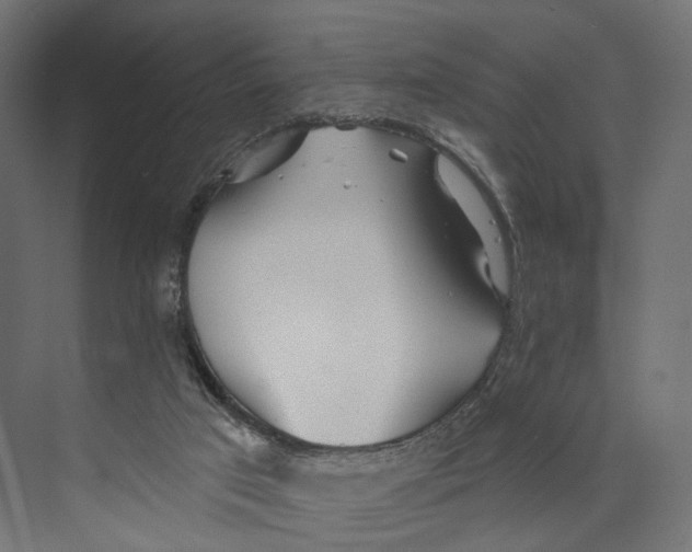 X0000073850017200609071619