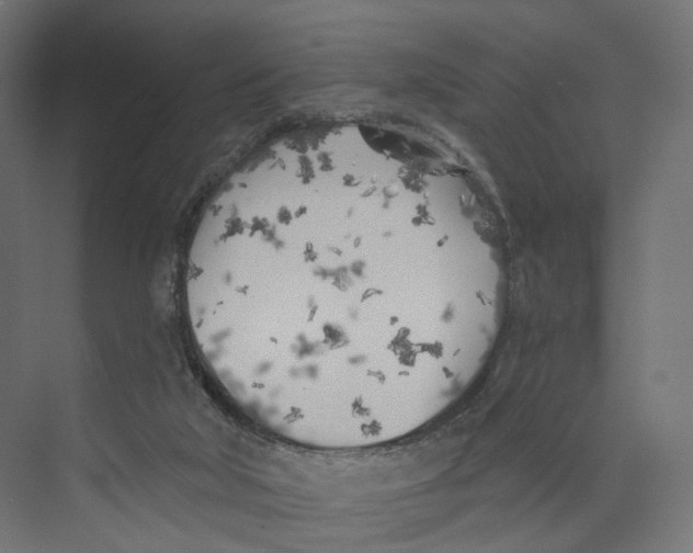 X0000073850018200609071619