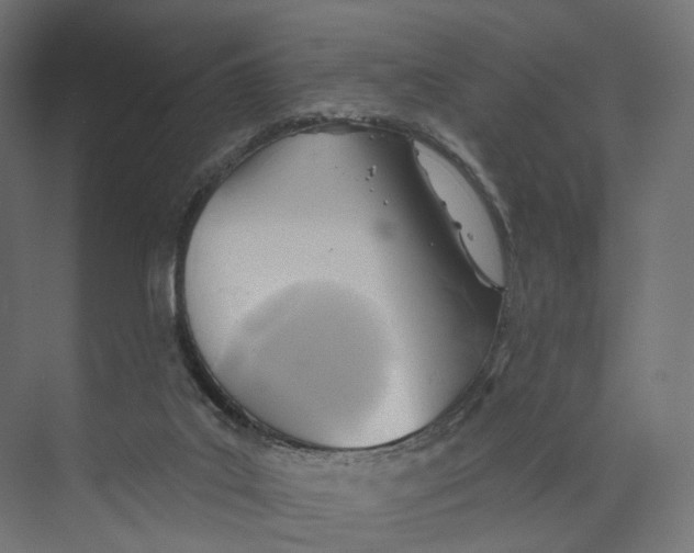 X0000073850019200609071619