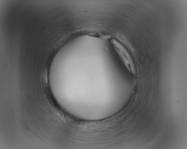 X0000073850021200609071619