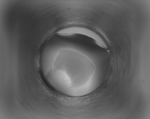 X0000073850023200609071619