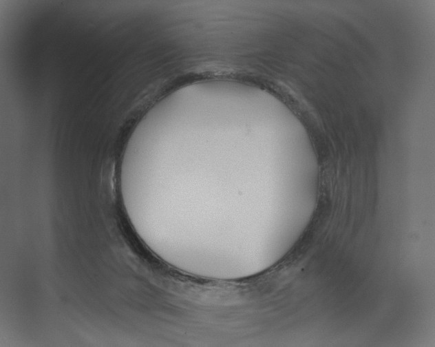 X0000073850024200609071619