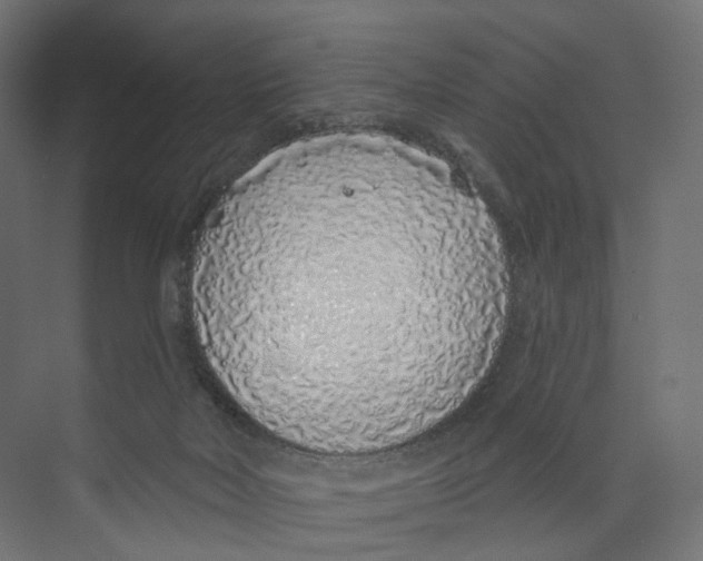 X0000073850026200609071619