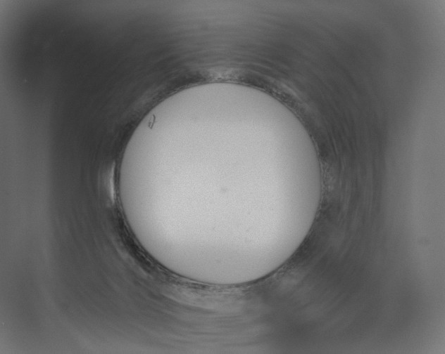 X0000073850028200609071619