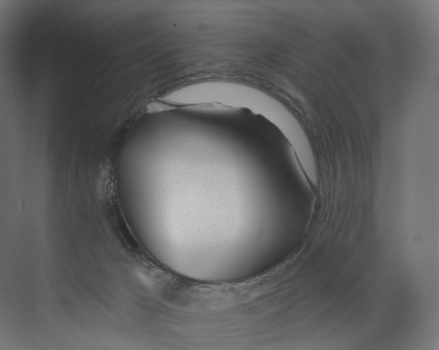 X0000073850029200609071619