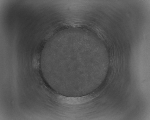 X0000073850030200609071619