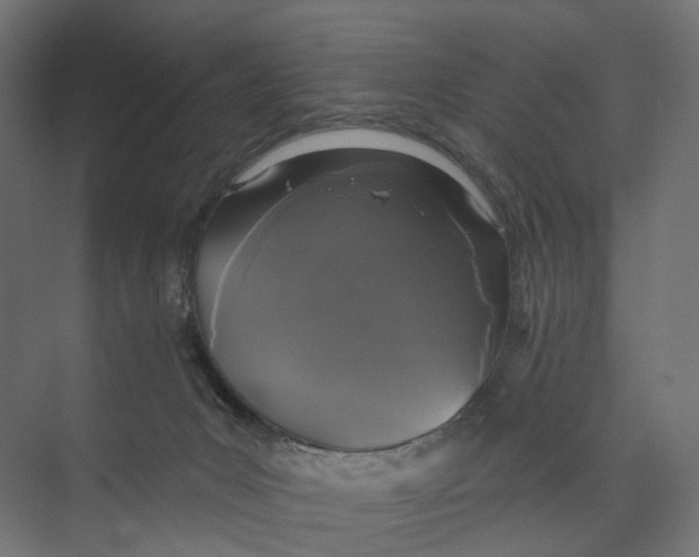 X0000073850031200609071619