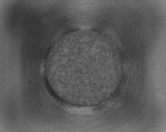 X0000073850032200609071619