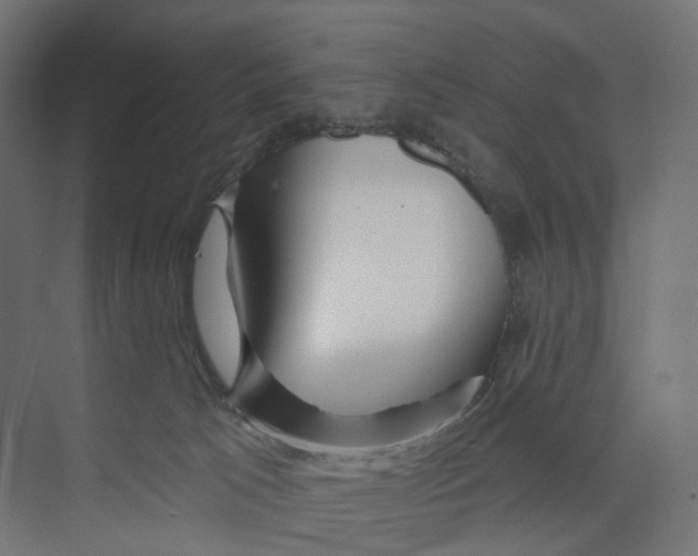 X0000073850033200609071619