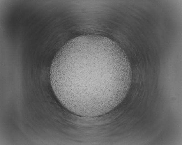 X0000073850034200609071618