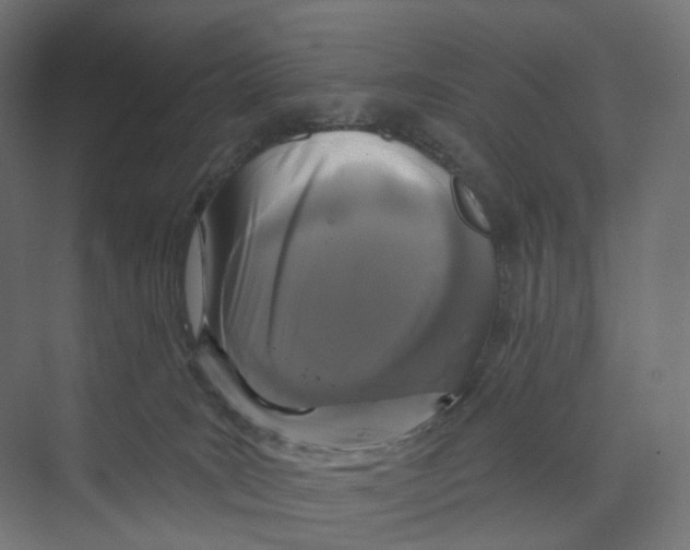 X0000073850035200609071618