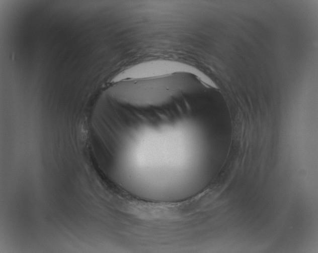 X0000073850040200609071618