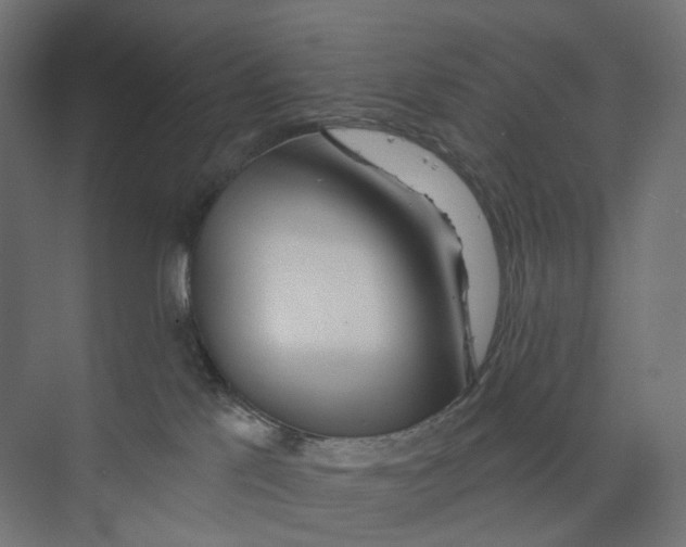 X0000073850041200609071618