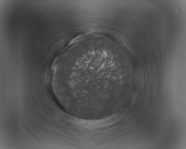 X0000073850043200609071618